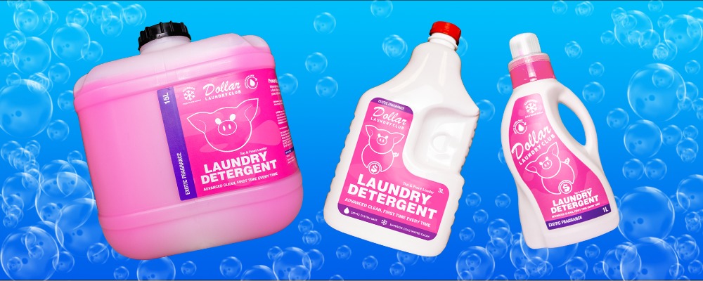 Introducing Dollar Laundry Club