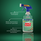 Mould Power 500ml