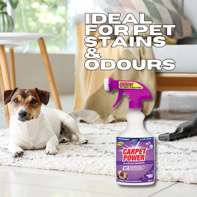Carpet Power 500ml