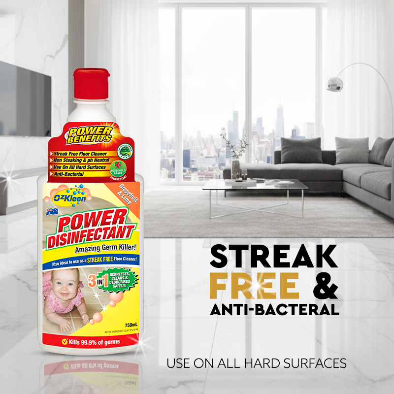 Power Disinfectant 750ml